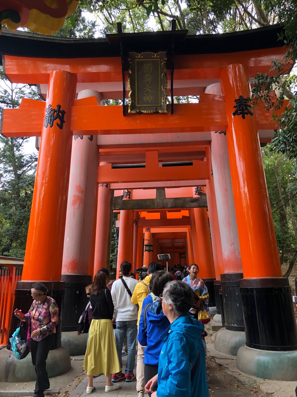 伏見稲荷に八坂神社⛩