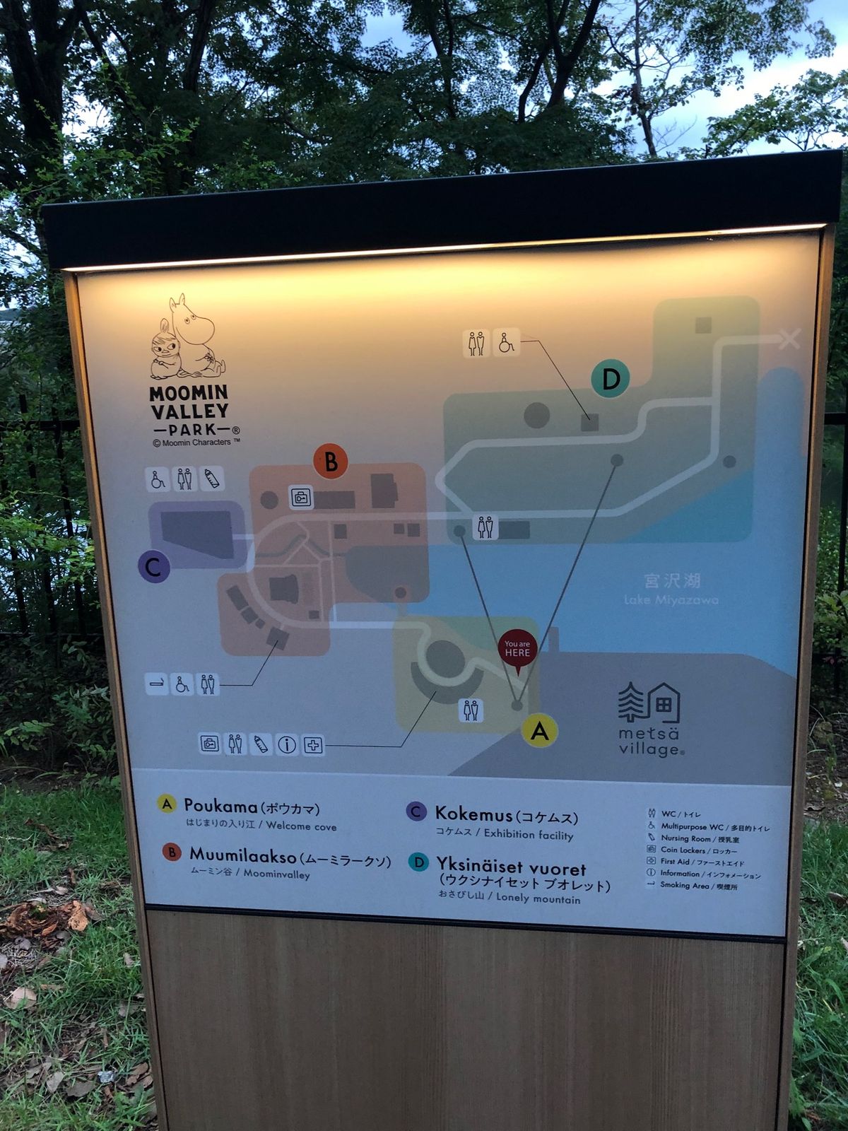 ムーミンの世界✨✨