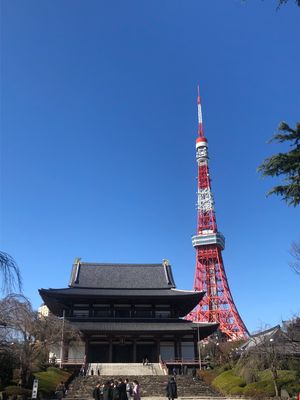 大好きな東京タワーと増上寺🥰
愛宕神社の階段はキツイ💦💦