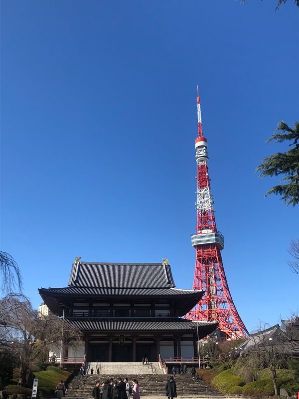 日本・東京都「ディズニーランド、シーの旅」の写真：大好きな東京タワーと増上寺🥰
愛宕神社の...