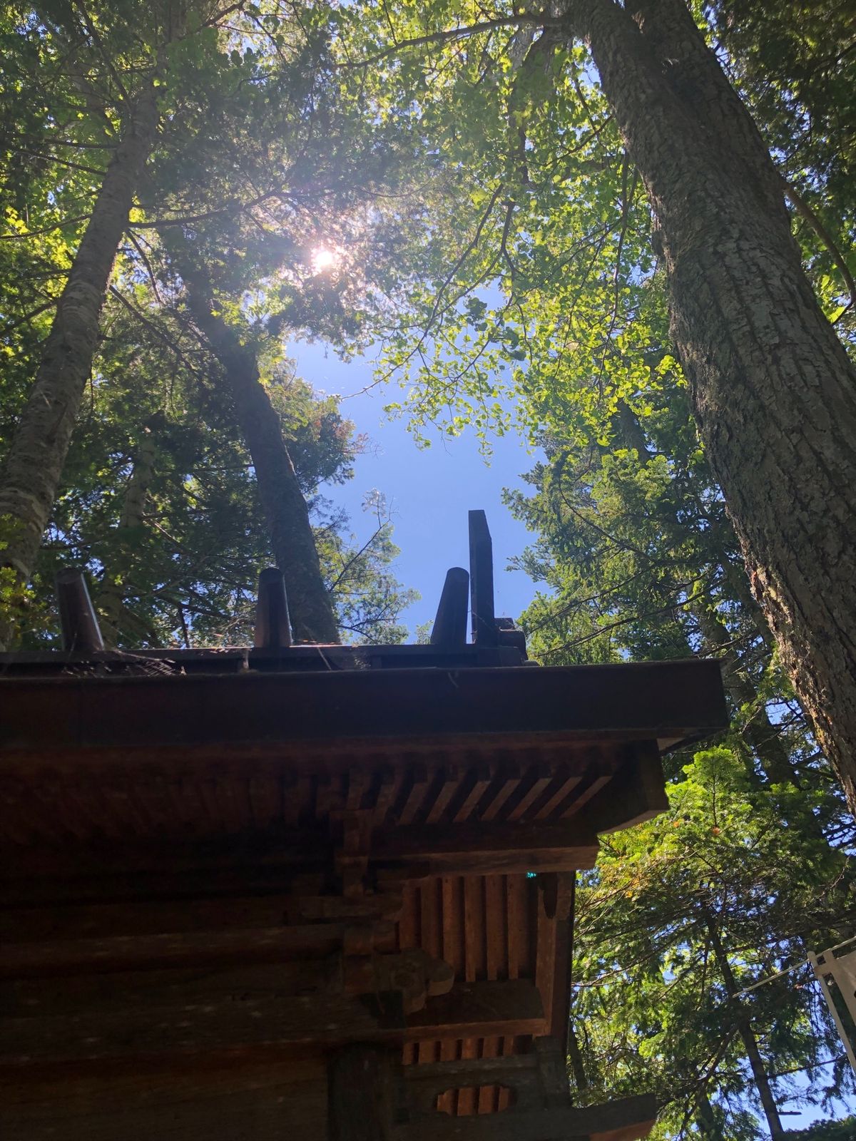 ７年前に一度参拝、念願のお礼参りに来れて良かった✨⛩🙏