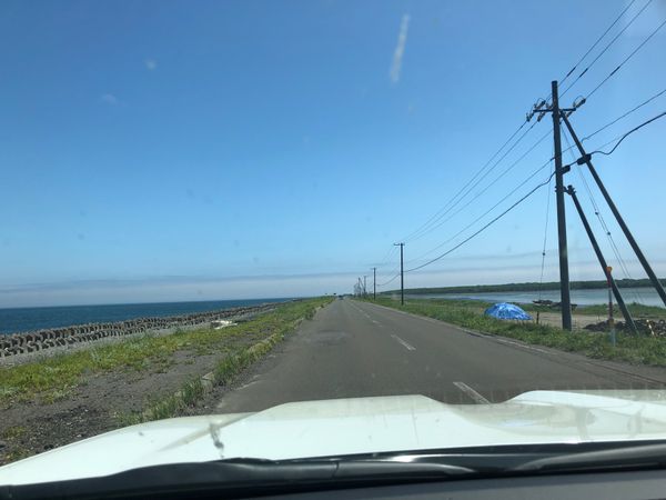 日本・北海道「野付半島　」の写真：この時期と秋にしか食べられないと言う北海...