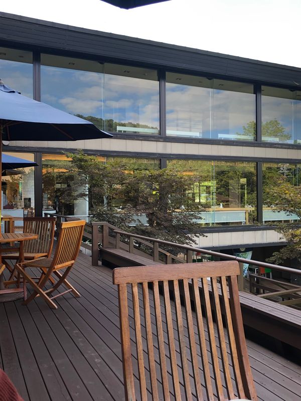 日本・北海道「支笏湖の旅」の写真：支笏湖の透明度は最高✨✨💎