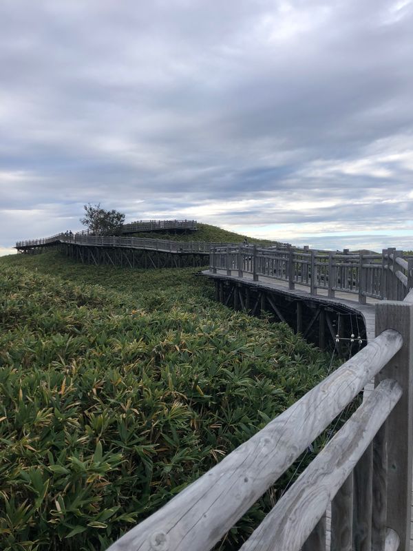 日本・北海道「霧の摩周湖から知床、羅臼の旅」の写真