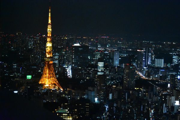 日本・東京都「六本木レアンドロ・エルリッヒ展」の写真：森ビルからの夜景