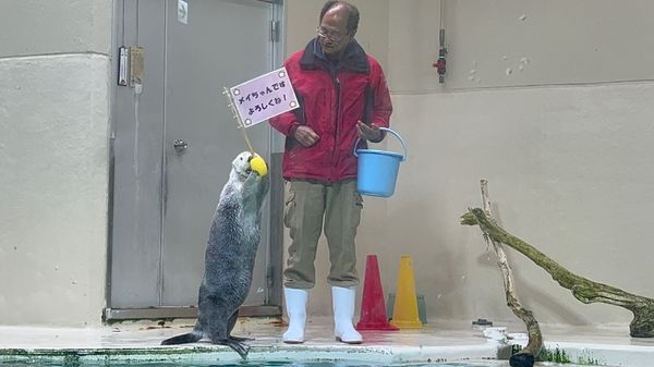 日本・三重県「伊勢旅行」の写真
