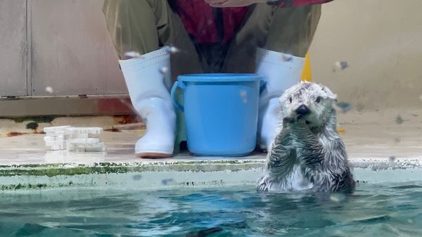日本・三重県「伊勢旅行」の写真