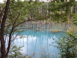 江原さんも参拝に来られるそうです
青い池は日によって色が違う✨神秘的✨
