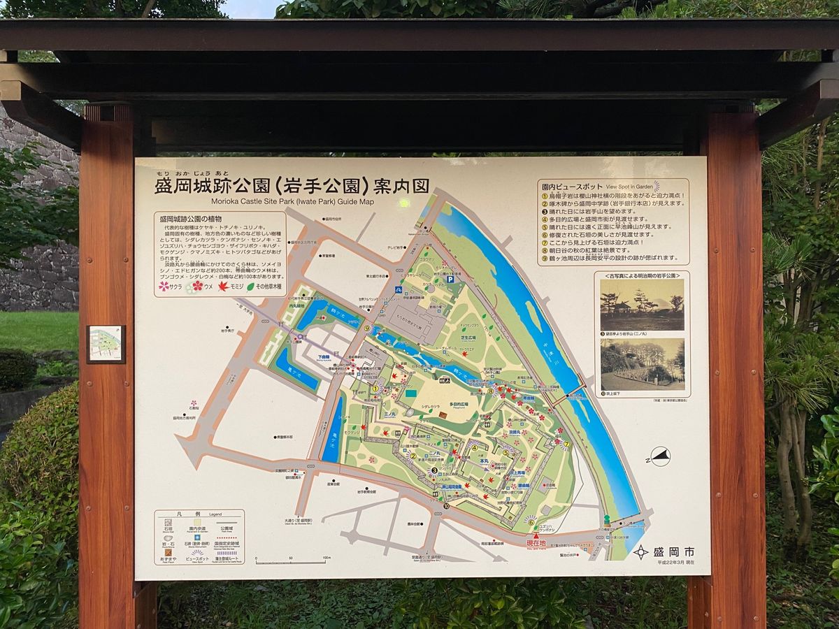 盛岡城跡公園へ行きました。
丘の上にある感じです。