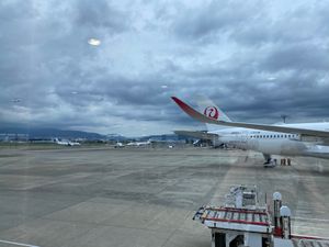 行きは曇り空でよく揺れました。
富士山見えず〜。
乗客は40%くらいかな？...