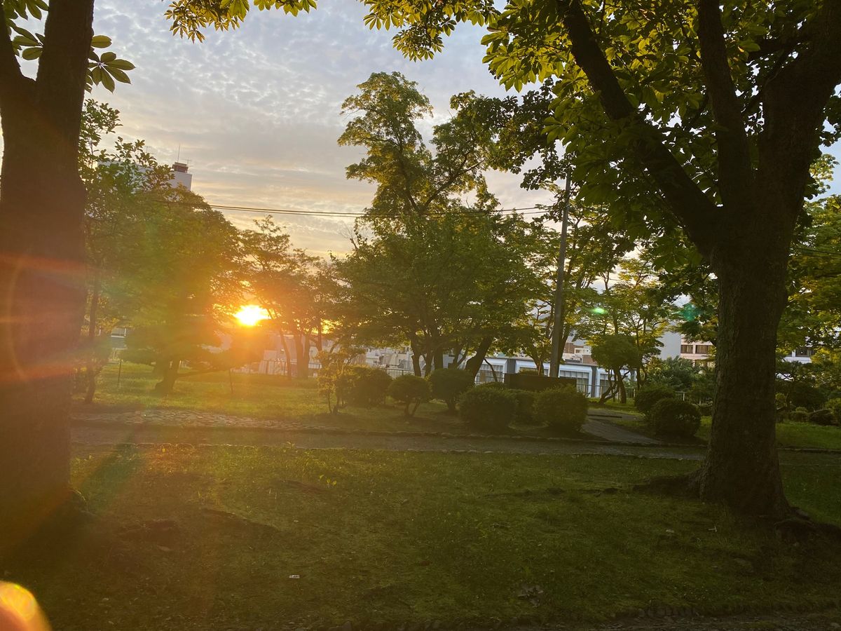 盛岡城跡公園へ行きました。
丘の上にある感じです。