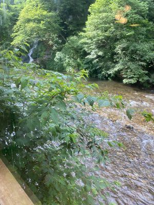 鉛温泉の藤三旅館の日帰り入浴をしてきました。
白猿の湯が有名で、立って入る...