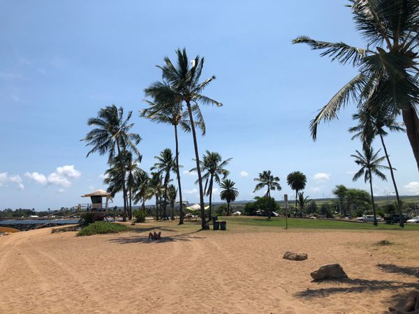 アメリカ(米国)・ハワイ「2018夏休み　3泊5日ホノルル」の写真：ラニアケア・ビーチ
ウミガメには出会えず
