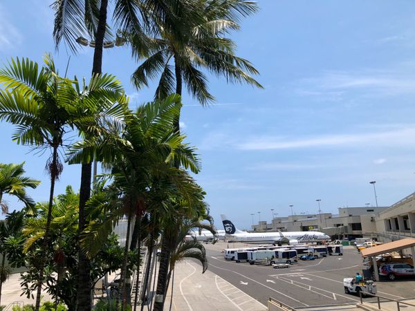 アメリカ(米国)・ハワイ「2018夏休み　3泊5日ホノルル」の写真：空港内も良い撮影ポイントがあります。