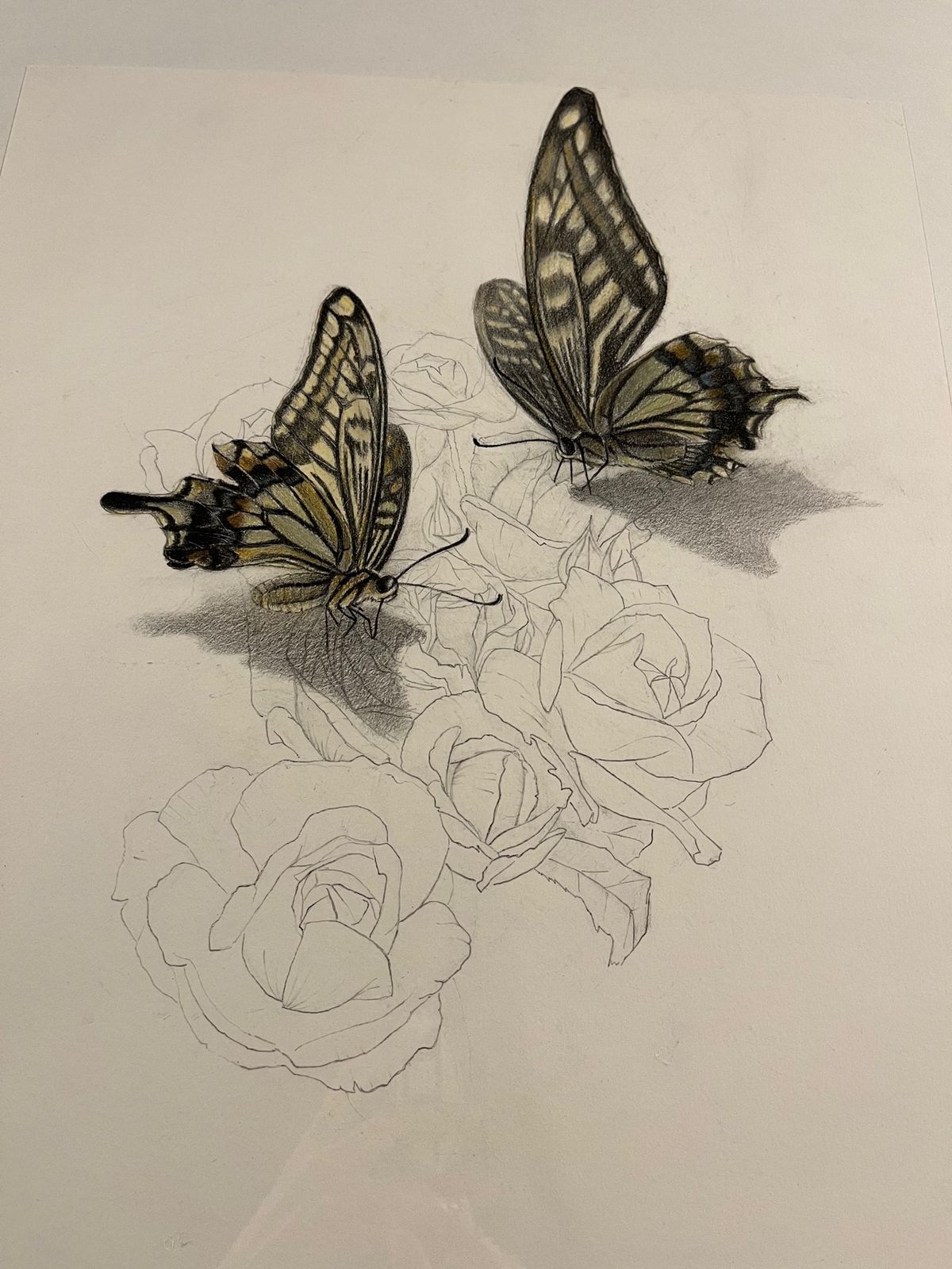 トリックアート美術館。
これが全て平面図なんて信じられません！