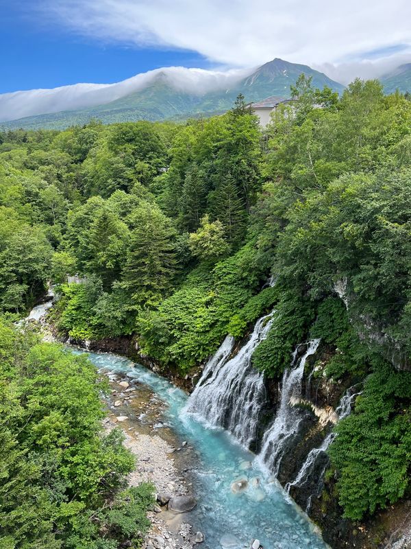 日本・富良野「日帰り富良野、美瑛」の写真：白ひげの滝はすごくきれいでした。
美瑛神...