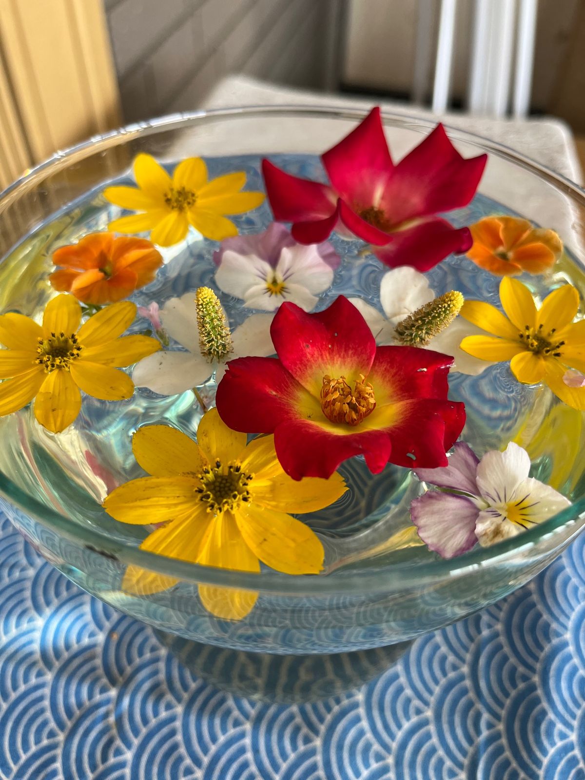 白ひげの滝はすごくきれいでした。
美瑛神社で参拝⛩