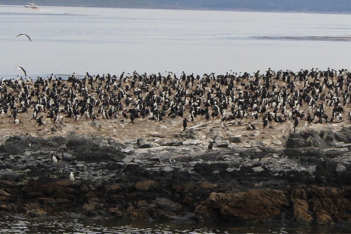 ウスアイア　イグアスの滝