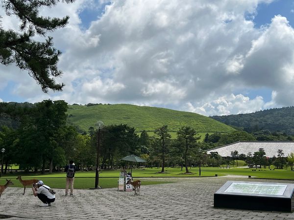 日本・奈良県「JW Marriott Naraの旅」の写真：奈良の名所
