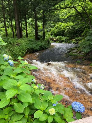 想像以上に迫力があった白銀の滝。
滝の上流は夏でも涼しくてマイナスイオンを...