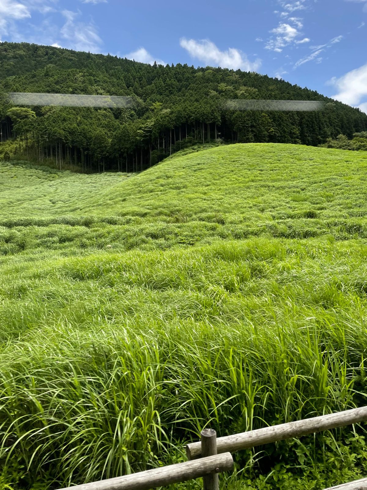 行きたかったラリック美術館。オリエント急行のカフェは要予約だし時間もないの...