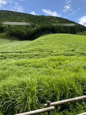 行きたかったラリック美術館。オリエント急行のカフェは要予約だし時間もないの...