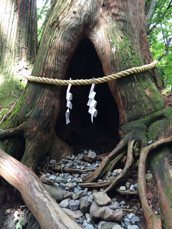 日本・長野県「戸隠」の写真