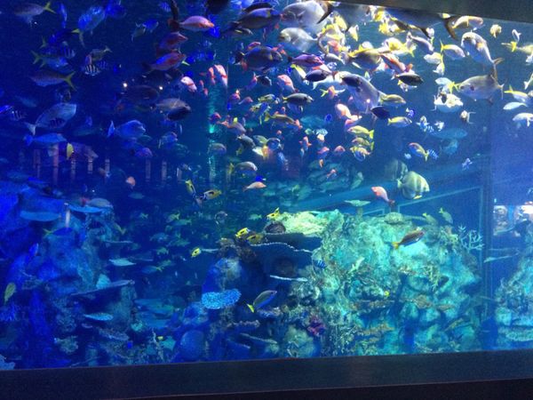 日本・三重県「伊勢」の写真