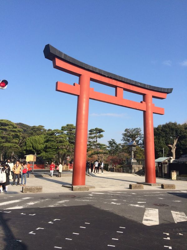 日本・神奈川県「鶴岡八幡宮」の写真