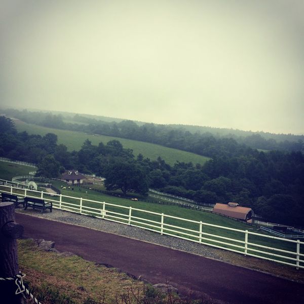 日本・山梨県「清里」の写真
