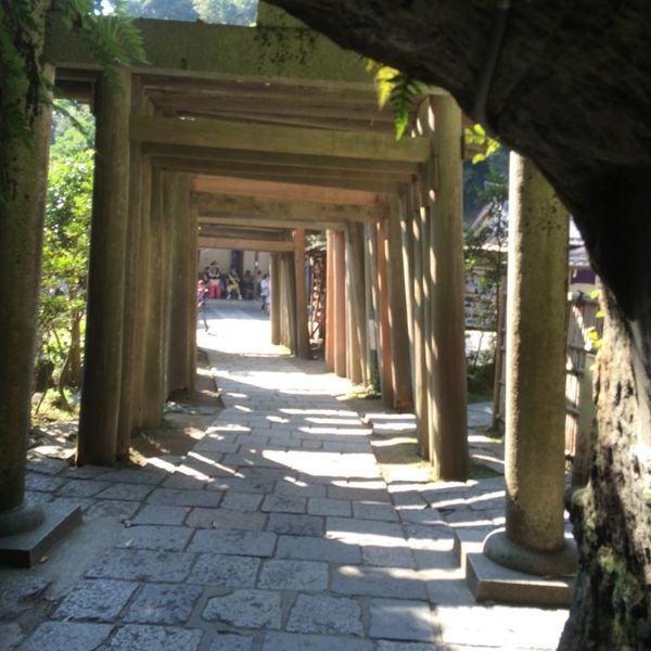 日本・神奈川県「小田原」の写真