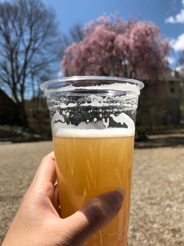 日本・山梨県「ROOK」の写真