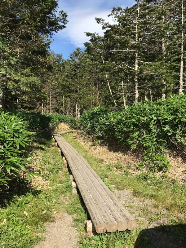 日本・長野県「蓼科」の写真