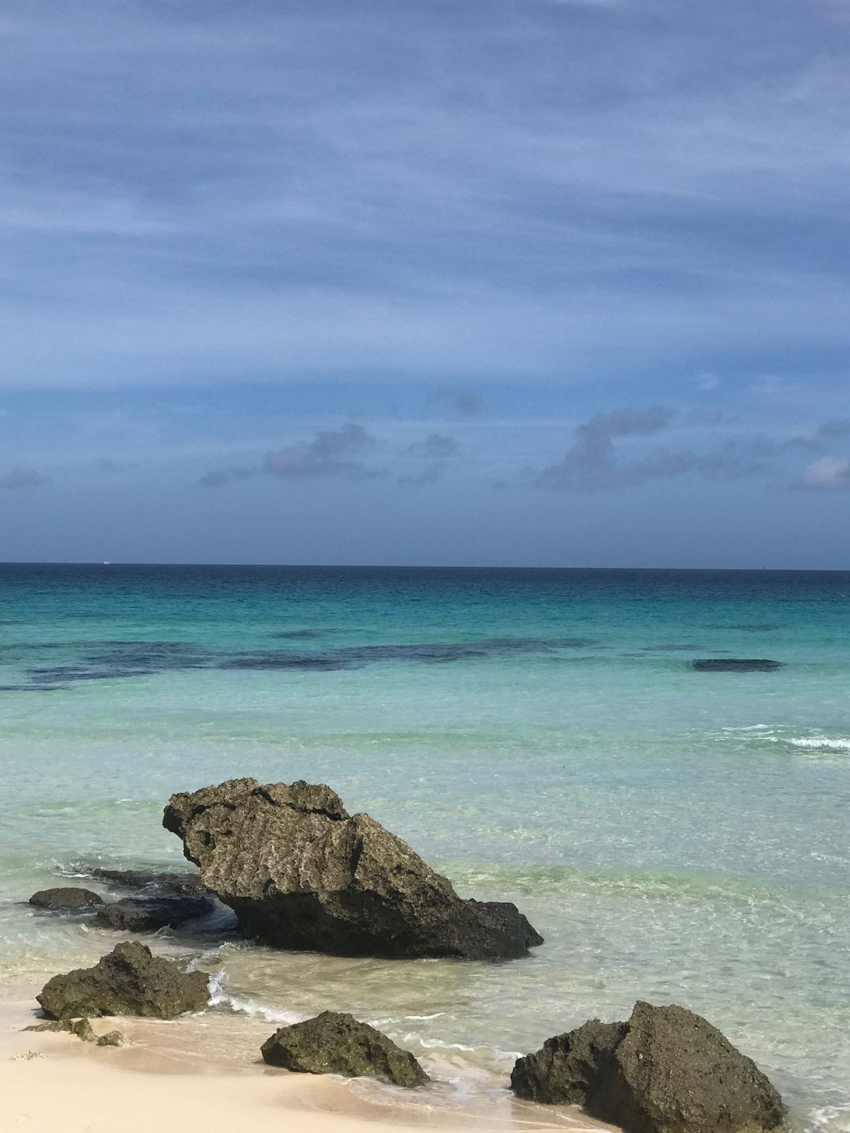 宮古ブルー、民謡酒場、ソーキそば、宮古島のお友達🐱