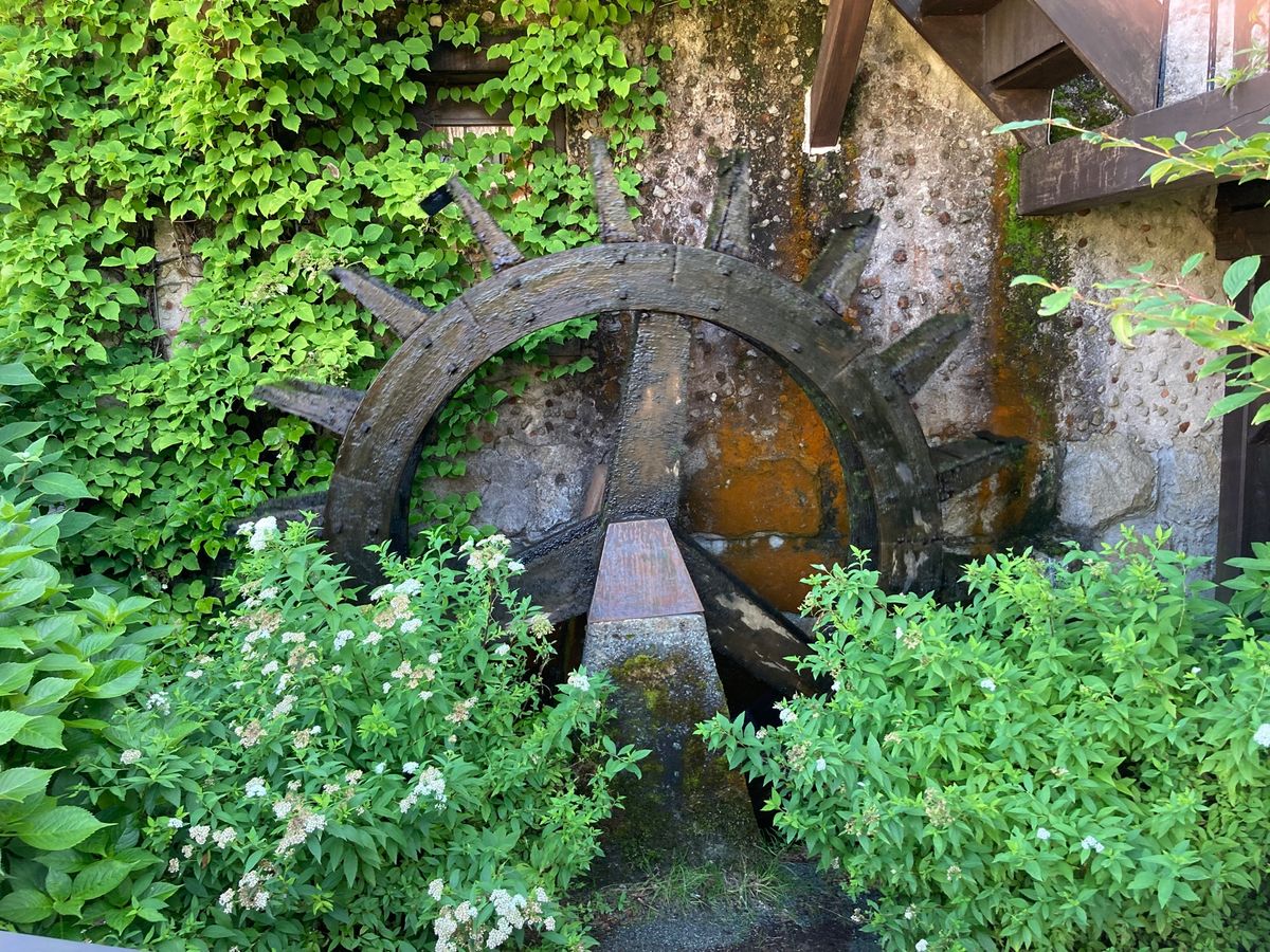 箱根ガラスの森美術館へ。ここは庭園も素敵で、何度もリピートしてる♪
館内も...