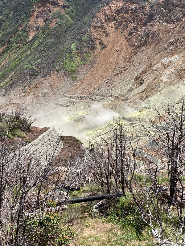 日本・箱根「ガラス工芸と箱根一人旅🚗」の写真：チェックアウトしたら、大涌谷へ。バラゴン...