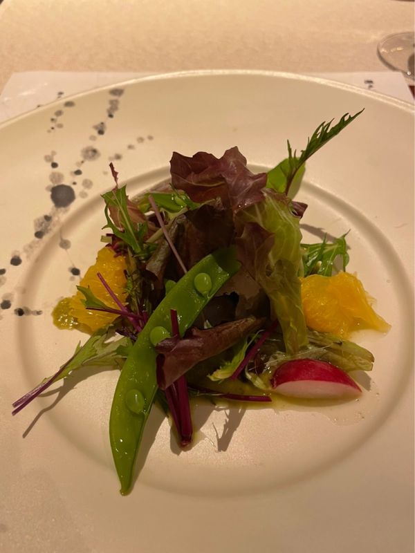 日本・広島「広島旅行⛩🍁」の写真