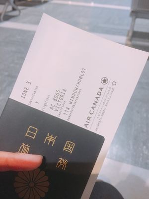 1229 出国🛫