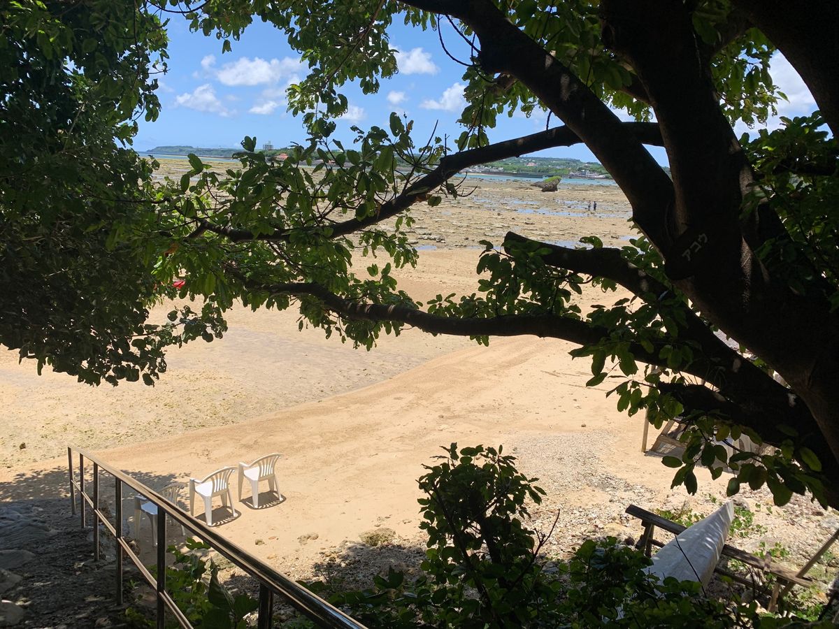 浜辺の茶屋でひと休み

奥武島にてんぷらを食べに行く予定なので
こちらでは...