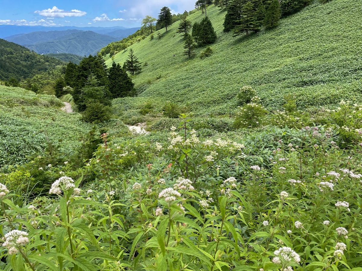 後半ようやくお天気も回復。南アルプスが見えました。