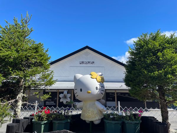 日本「富士見台高原トレッキングと昼神温泉」の写真：ヘブンスそのはらスキー場からゴンドラを使って...