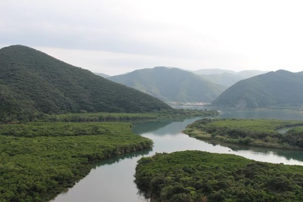 日本・奄美大島「奄美大島」の写真