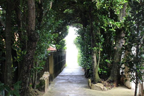 日本・宮古島「沖縄　宮古島」の写真