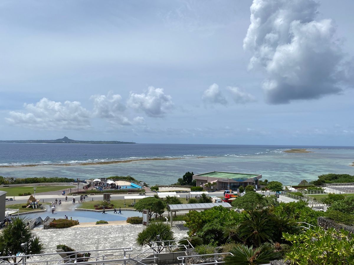憧れの美ら海水族館！
沖縄で最初に食べたのはタコライスでした。