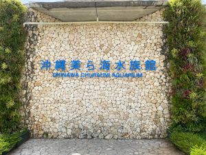 憧れの美ら海水族館！
沖縄で最初に食べたのはタコライスでした。
