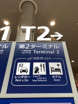 第2ターミナルからピンクの飛行機で飛び立ちます。