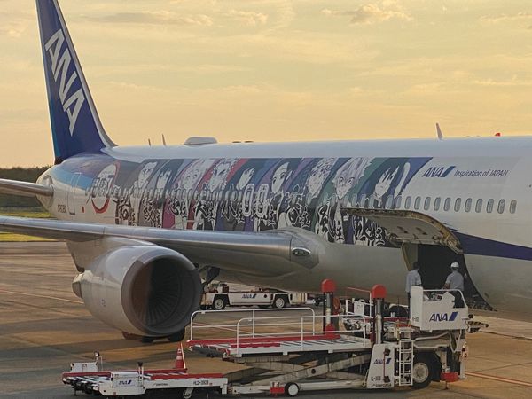 日本・長崎県「長崎は五島列島の福江旅！」の写真：鬼滅の刃飛行機！
副操縦士が竈門炭治郎だ...