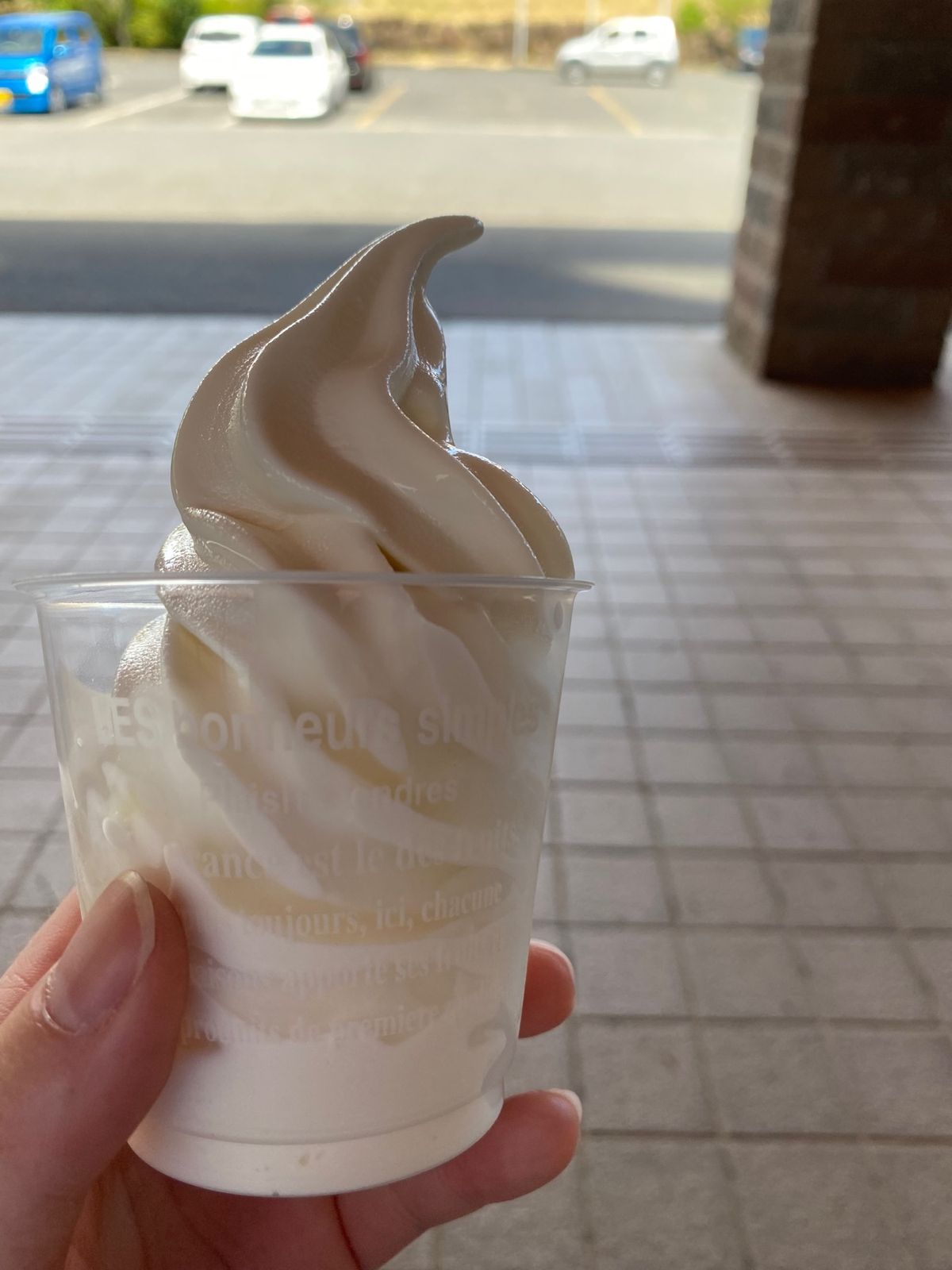 遣唐使ふるさと館！
ソフトクリーム食べました！