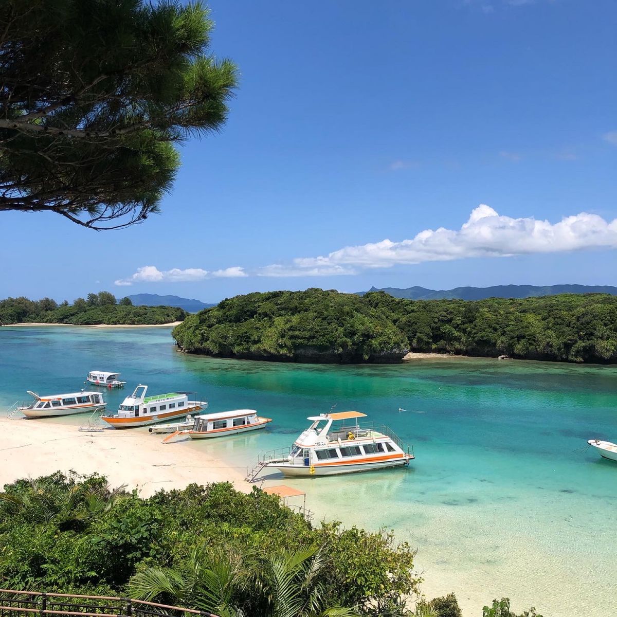 青い海と青い空
日常を忘れて自然を満喫✨
石垣島には海も山もあるのでどちら...
