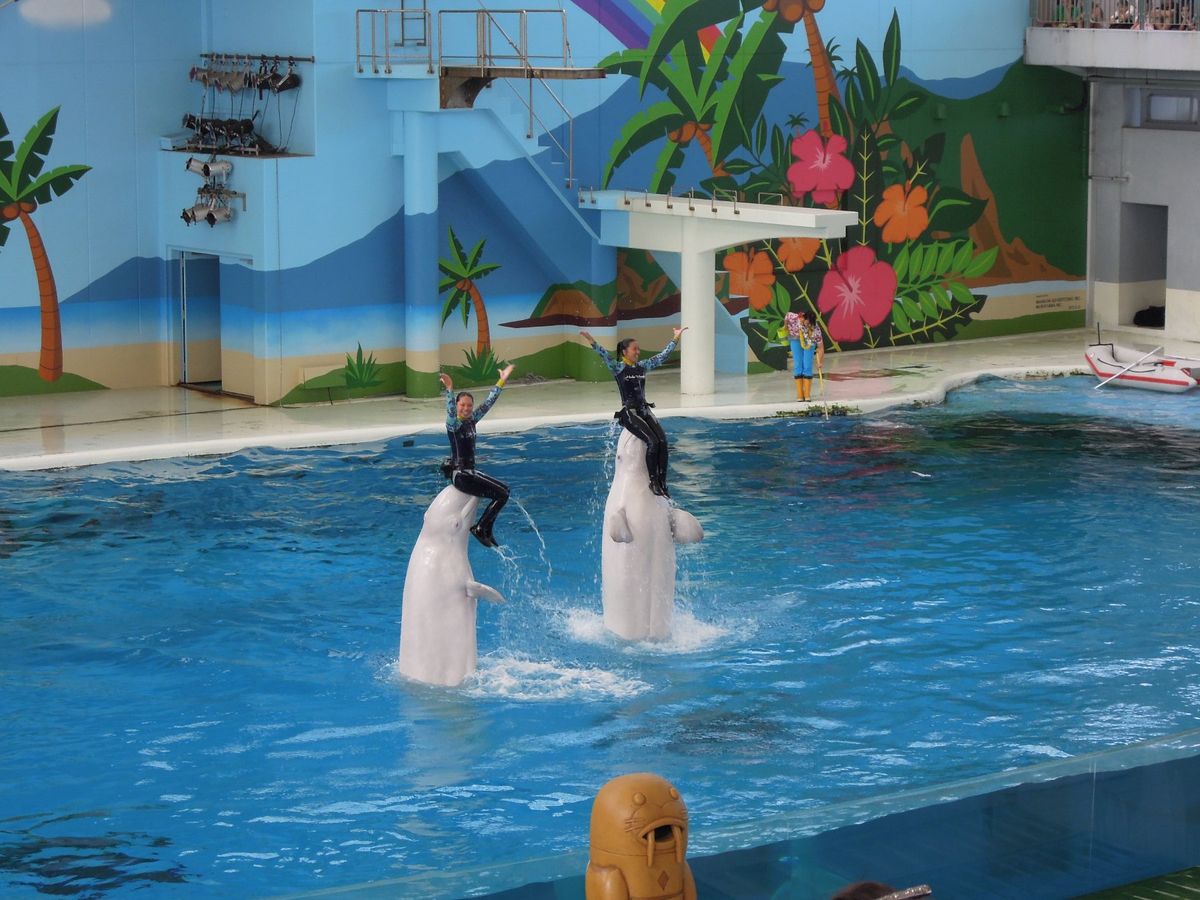 八景園シーパラダイス
